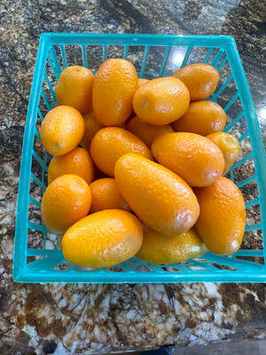 Kumquats Organic 8 oz