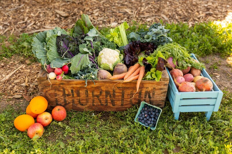 CSA Box