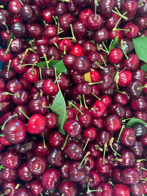 Cherries Local/lb