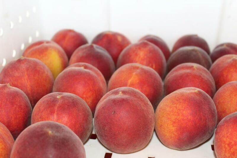 Peaches Yellow Organic/lb
