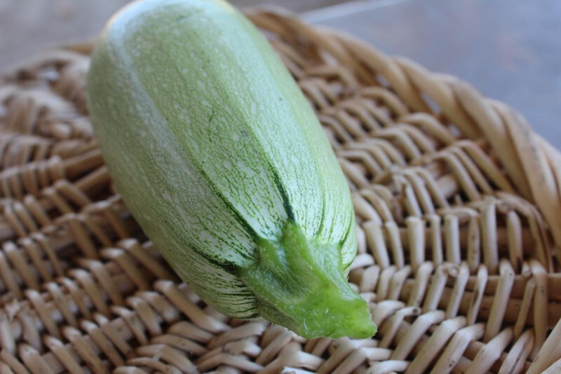Squash Summer Lt Green Zucchini Organic/lb