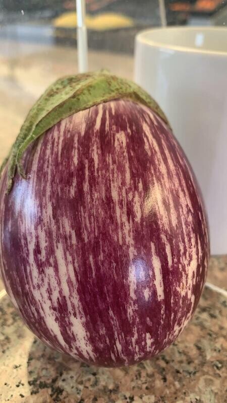 Eggplant (Indian) Calliope Organic/lb