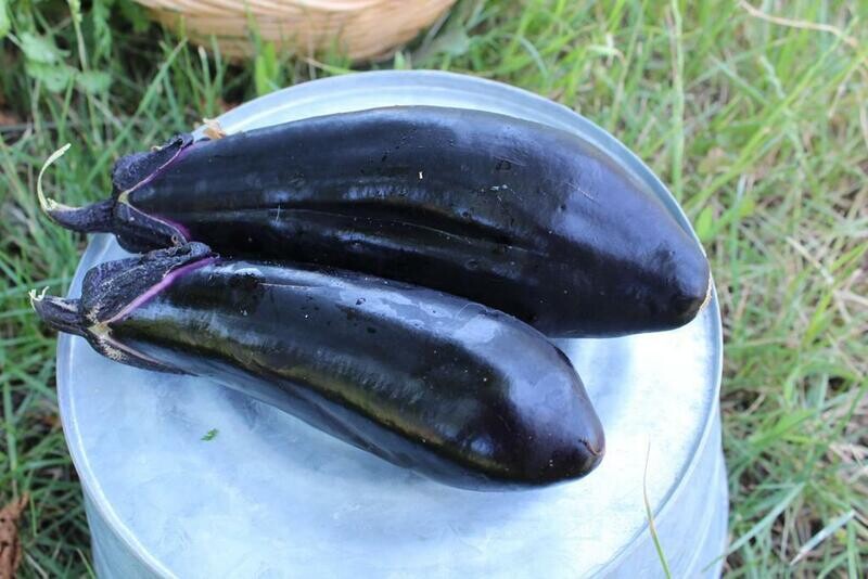 Eggplant Japanese Organic/lb