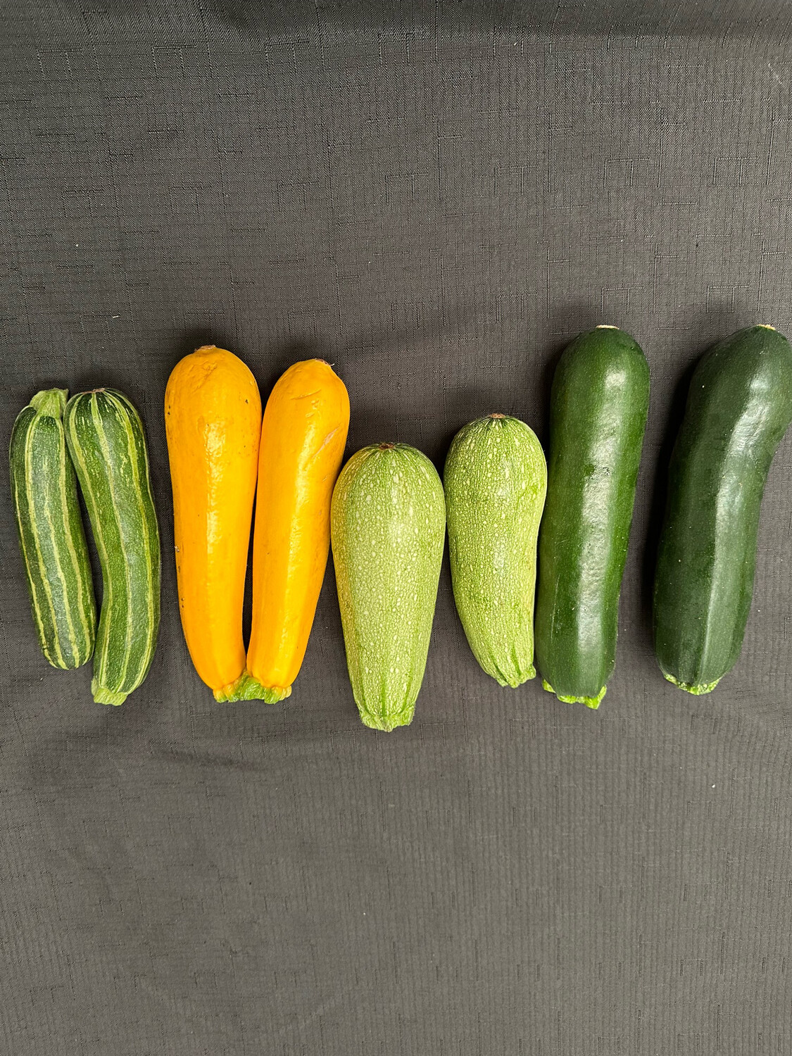 Squash Summer Mixed Organic/lb