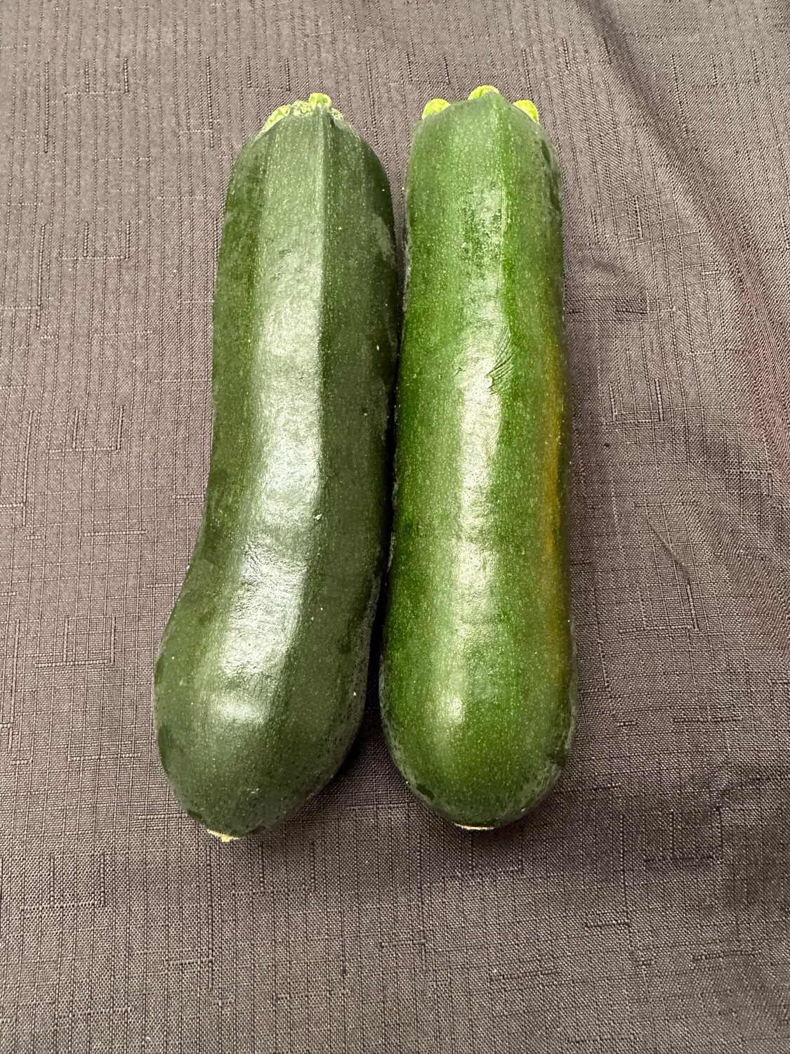 Squash Summer Dk Green Zucchini Organic/lb