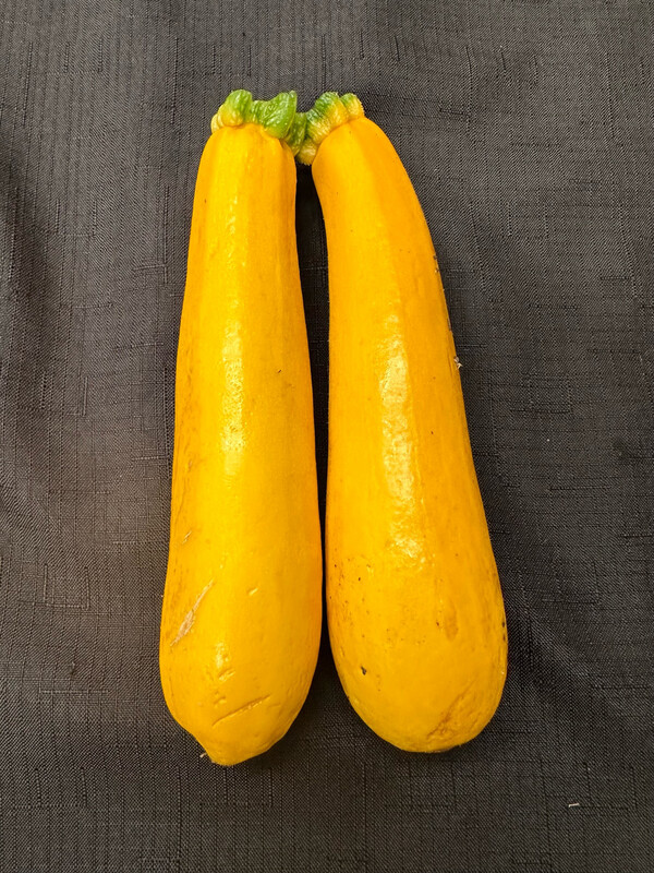 Squash Summer Yellow Zucchini Organic/lb