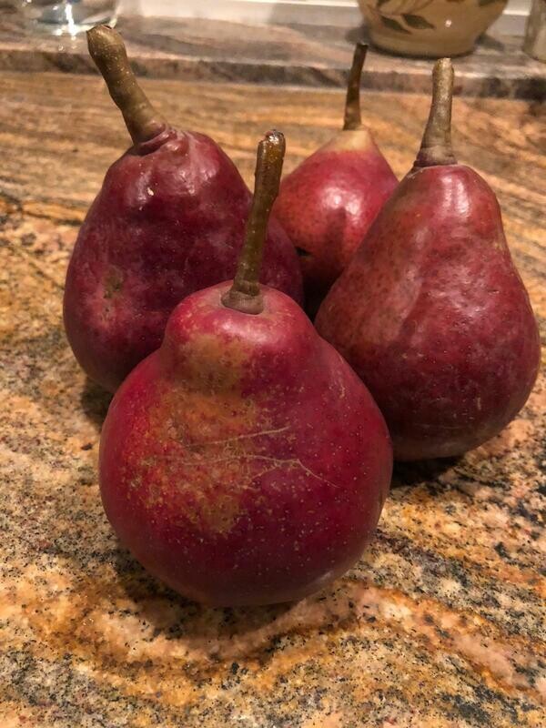 Pears Starkrimson Organic/lb