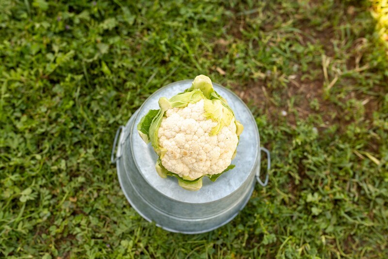 Cauliflower White Organic