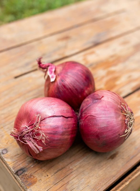Onions Red Organic/lb