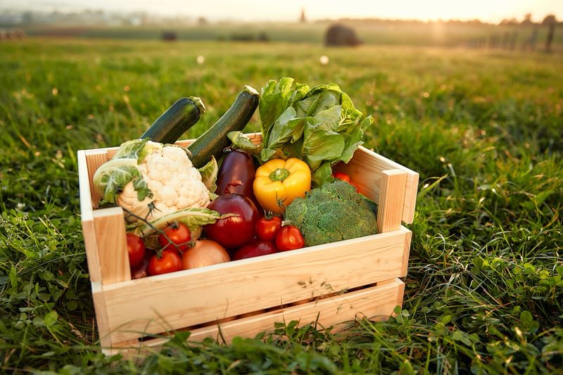 CSA Box Bimonthly Large (2 boxes over 4 weeks) CSA Box Bimonthly Large (2 boxes over 4 weeks)
