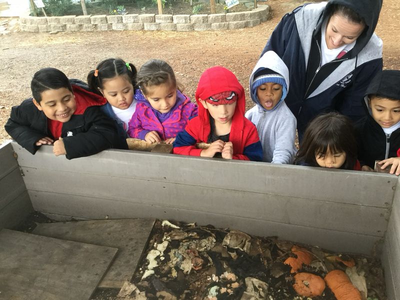 Class B. Children’s On Farm Experience &amp; Gardening Wed 10-12. 2/11, 2/25, 3/11, 3/25. NO REFUNDS Can Make Up