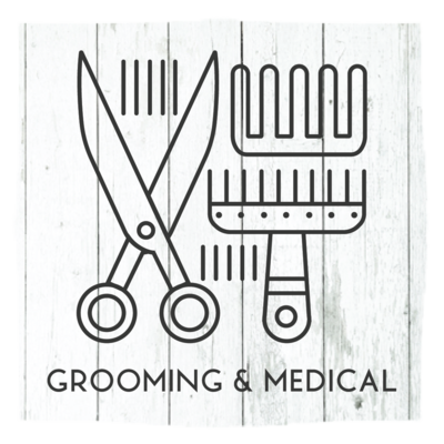 Grooming/Medical