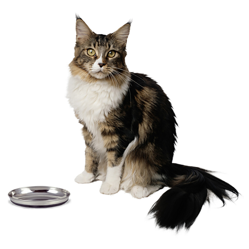 Ourpets Oval Dish