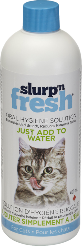 Slurp N Fresh Cat 400 ml