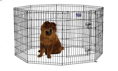 Black Exercise Pen With Door 1X24"Wx36"H