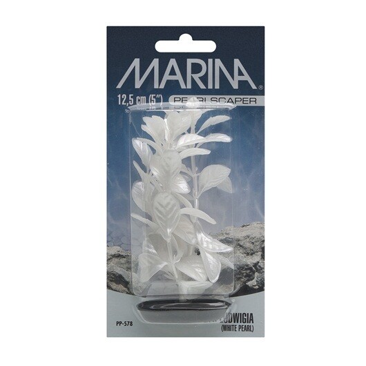 Marina Pearlscaper White Pearl Ludwigia 5"