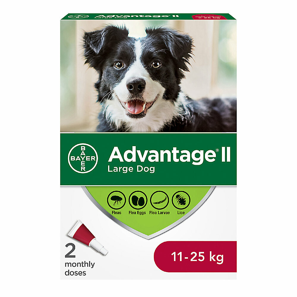 Advantage Dog (2 Pk) 24-55 lb