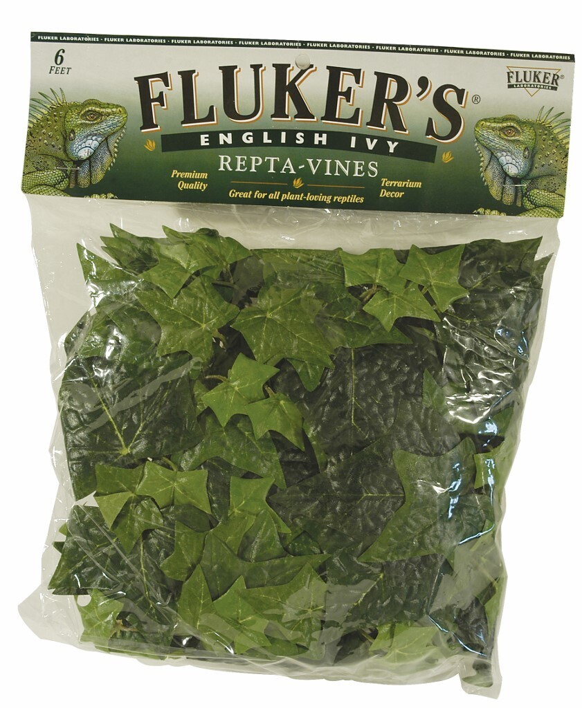 Flukers Repta-Vines 6" English Ivy