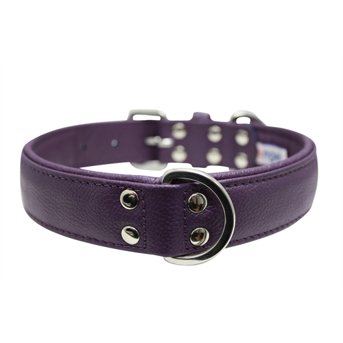 Angel Alpine Collar - Purple 24'' x 1.25''