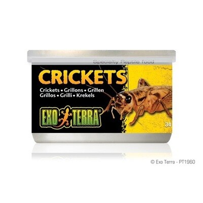 Exo Terra Crickets 34 g