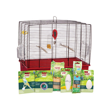 Living World Deluxe Budgie Starter Kit