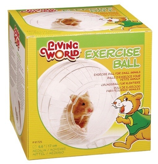 Living World Exercise Ball with Stand Medium