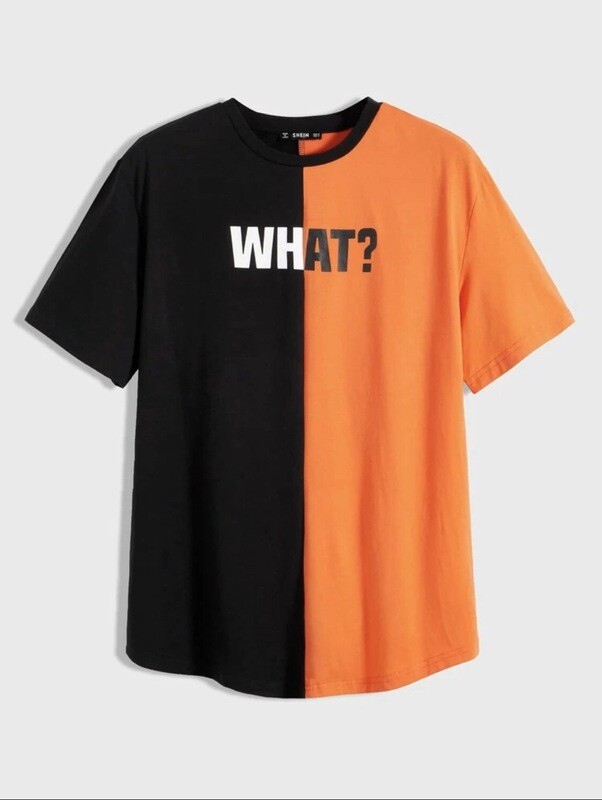 Men Ombre Panel Letter Graphic Tee