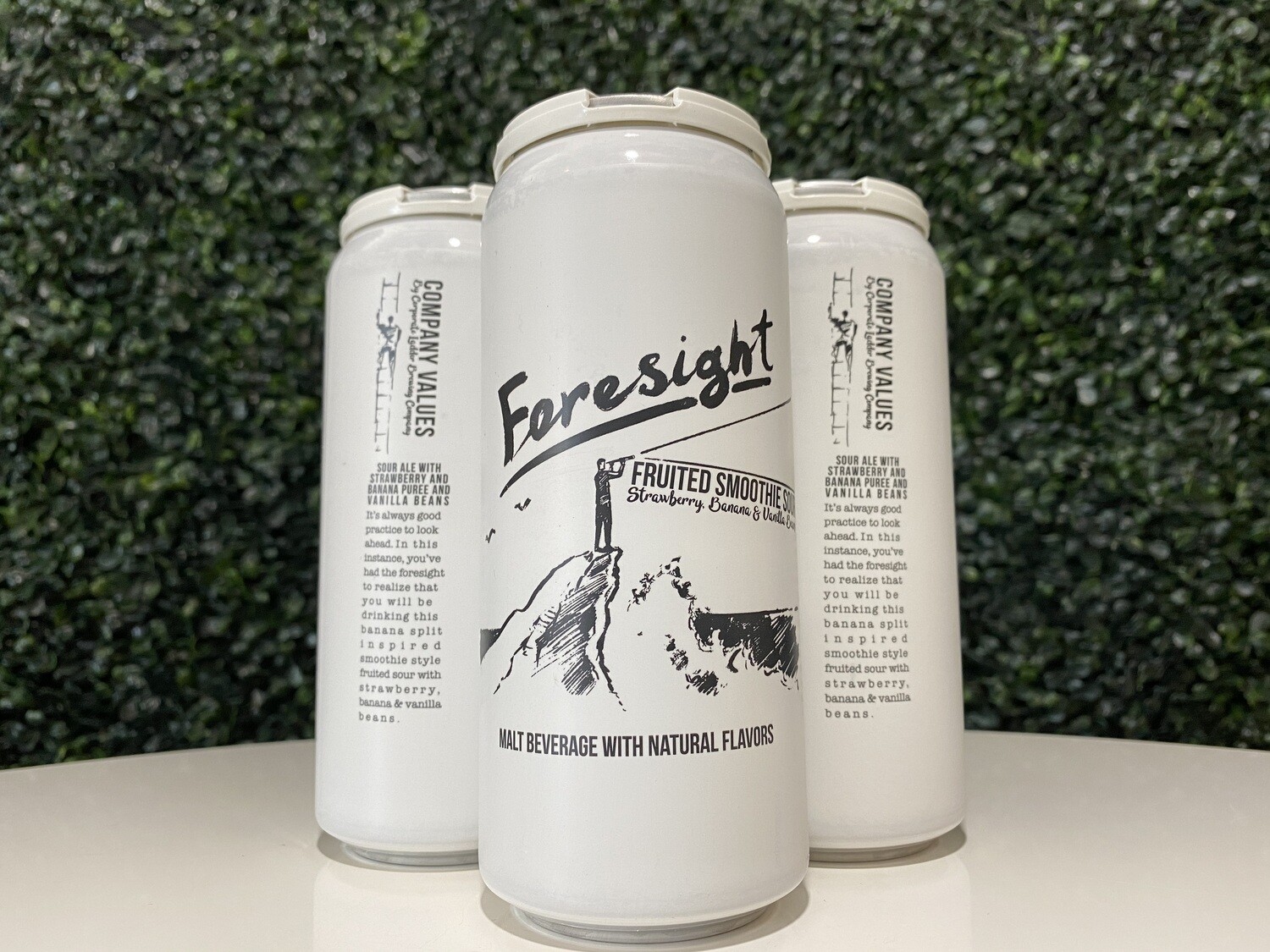 Company Values - Foresight - Fruited Sour - 6.2% ABV - 4 Pack Company Values - Foresight - Fruited Sour - 6.2% ABV - 4 Pack