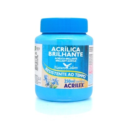 Pintura Acrílica Brillante  250ml