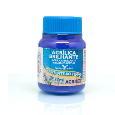 Pintura Acrilica Brillante 37ml