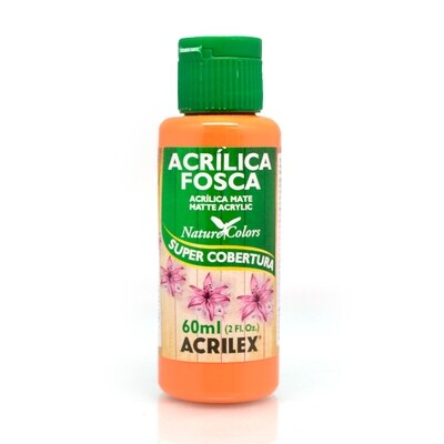 Pintura Acrílica Fosca 60ml