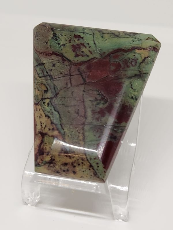 Dragons Blood Jasper bolo tie