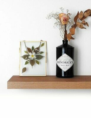 Herbiers sous verre