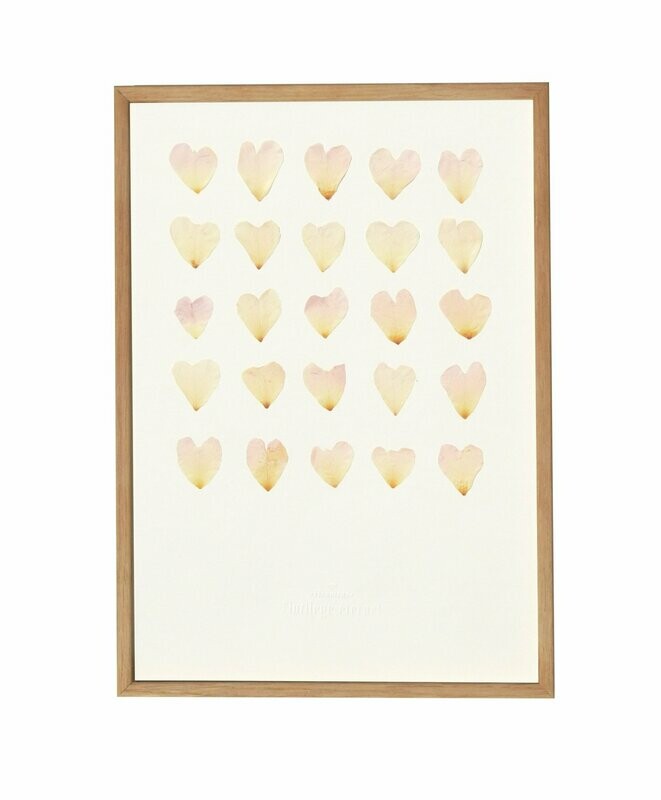 Petits coeurs