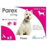 Parex  small dog