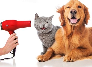 Grooming