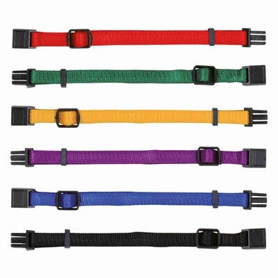 Collars &amp; Leads