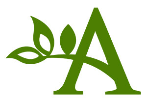 Amare Montessori