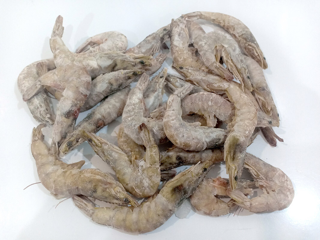 Large Whole Shrimp for Export 1kg