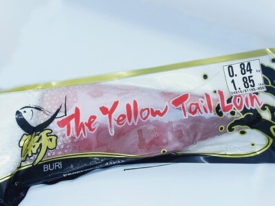 Sashimi Grade Hamachi - Buri (Yellow Tail) Mid Loin