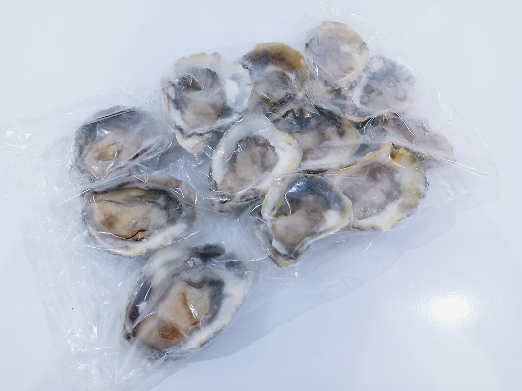 Half Shell Slipper Oysters 12pcs
