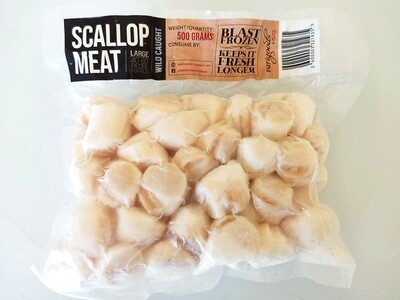 Scallop Meat for Export 500grams