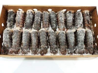 Maine Lobster Tails 4pcs