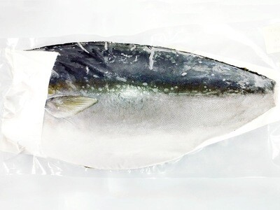Sashimi Grade Hamachi - Buri Fillet