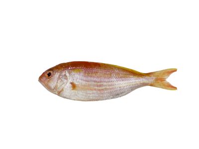 Threadfin Bream (Bisugo) 500gms