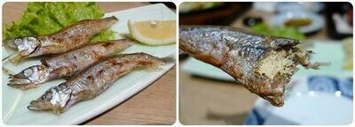 Shishamo pack of 8pcs