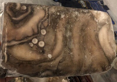 Whole Cleaned Octopus for Export  Large