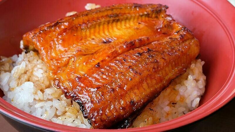 Unagi Kabayaki