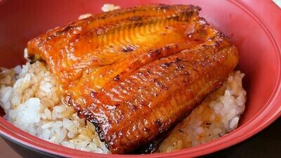 Unagi Kabayaki