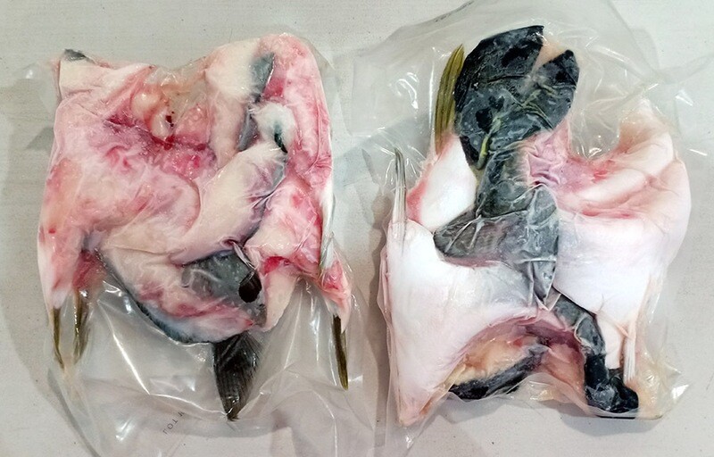 Hamachi Kama 8-10 pieces